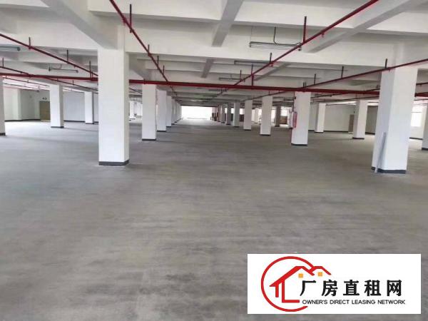 
		全新原房东独门独院标准厂房出租
	
