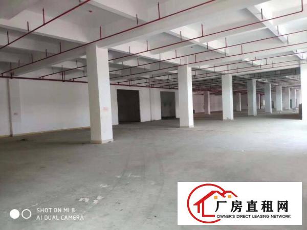
		全新原房东独门独院标准厂房出租
	