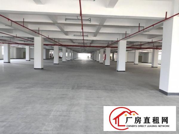 
		惠阳全新原房东红本厂房出租
	