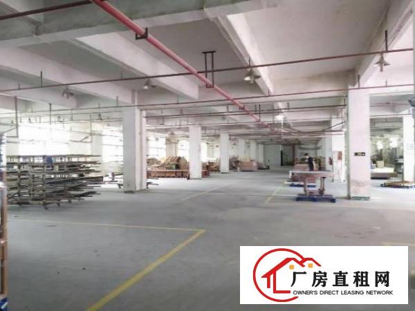 
		惠阳三和经济开发区新出独院4500平出租
	