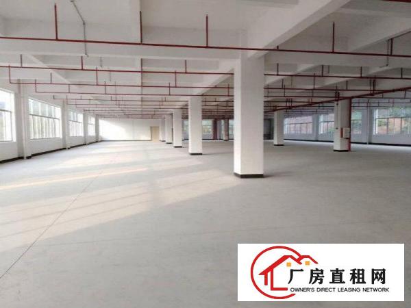 
		三和经济开发区新建标准楼上2600平米招租
	