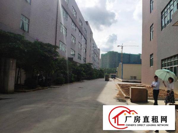 
		（红本）惠州三和经济开发区全新标准厂房不限行业出租
	