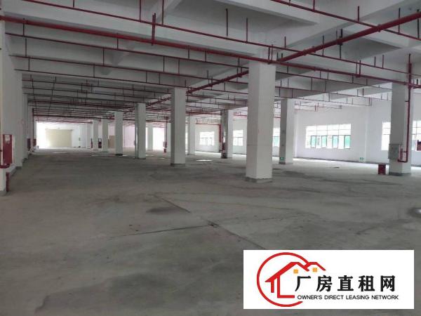 
		（红本）惠州三和经济开发区全新标准厂房不限行业出租
	