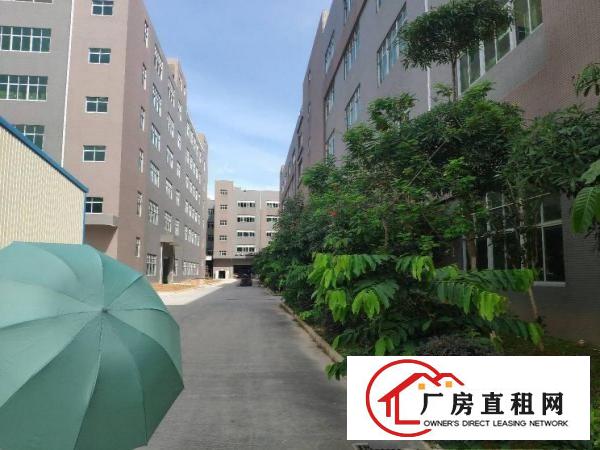 
		（红本）惠州三和经济开发区全新标准厂房不限行业出租
	