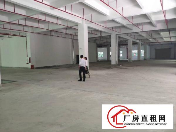 
		（红本）惠州三和经济开发区全新标准厂房不限行业出租
	