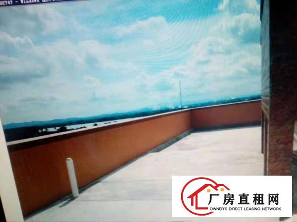 
		江北附近虾村220-1000平精装电梯新房厂房办公仓库
	