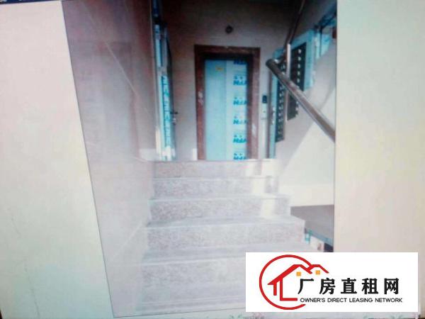 
		江北附近整栋220平-1000平精装电梯新房大路旁
	