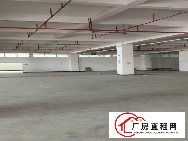 
		马安1楼1400平米标准工业园厂房出租
	
