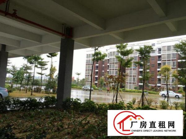 
		惠城区水口新空出花园式独门独院厂房招租
	