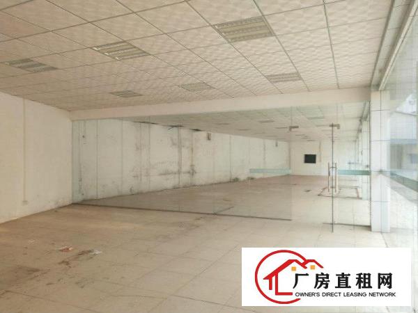
		马安新乐标准单层钢构810平米出租货柜车进出便利
	