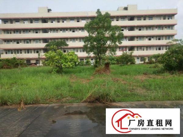
		马安单一层钢构6000平米出租原房东
	
