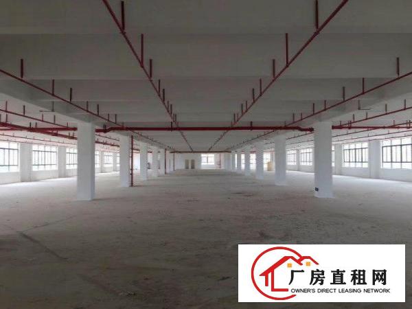 
		惠东江高新区附近独栋厂房8300平方出租
	