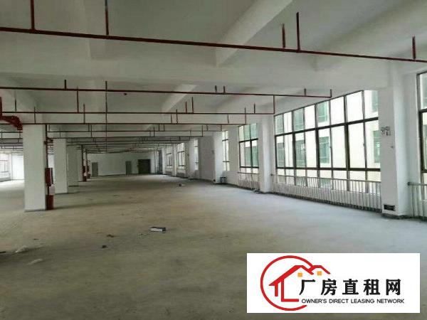 
		水口独栋新建标准厂房8300平方招租（可分租）
	