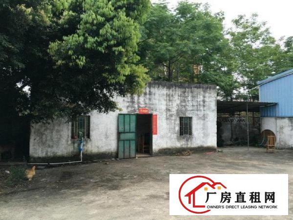 
		马安新乐独院1楼1500平方钢构厂房出租
	
