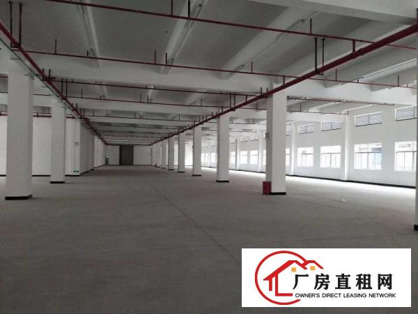 
		水口新建标准厂房招租，可分成2个独院厂房
	