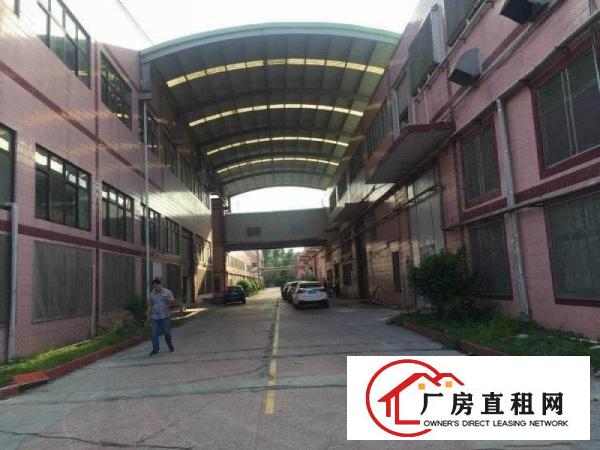 
		陈江独院70000平方12米高钢结构厂房（可分租）
	