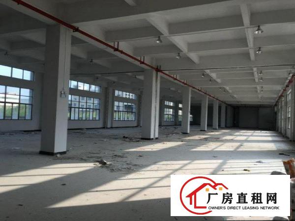 
		马安新建独院厂房3450平方（空地5000平方）招租
	