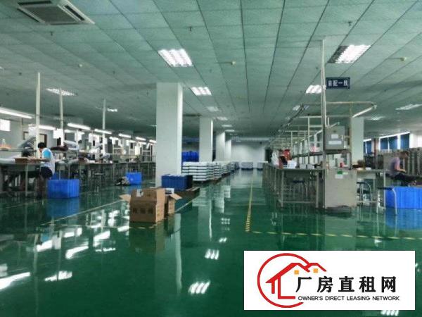 
		三栋数码园南区，标准厂房5000平方出租，能办环评
	