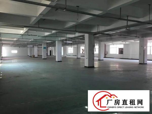 
		江北火车站独院厂房6700平方招租（可分租）
	