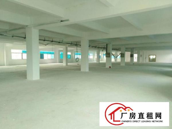
		潼湖1000平2吨货梯大工业园主干道边上
	