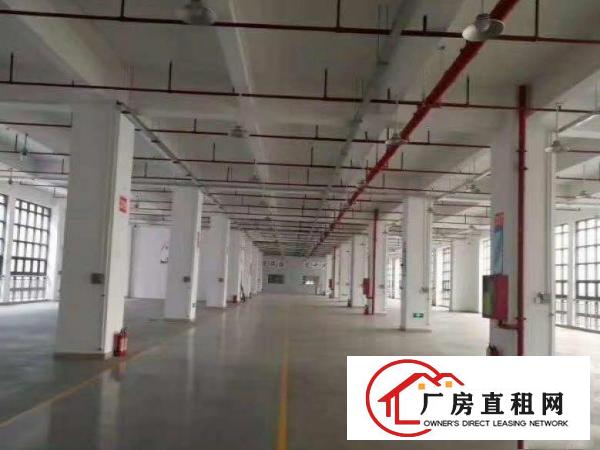 
		出租仲恺潼湖新出830平原房东标准独院厂房，火爆招租！
	