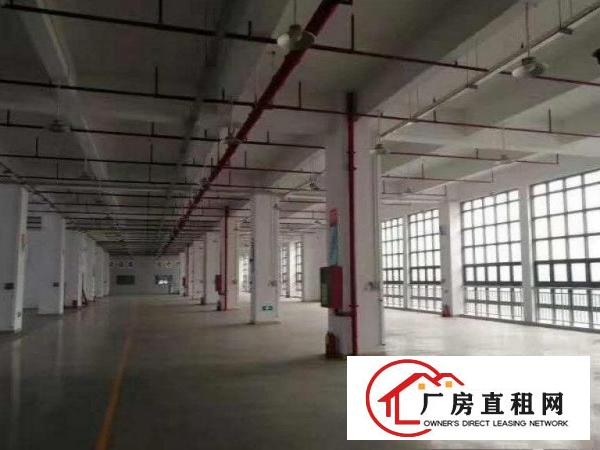 
		出租仲恺潼湖新出830平原房东标准独院厂房，火爆招租！
	