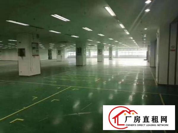 
		仲恺潼湖标准单一层厂房1300平米出租（可分租）
	