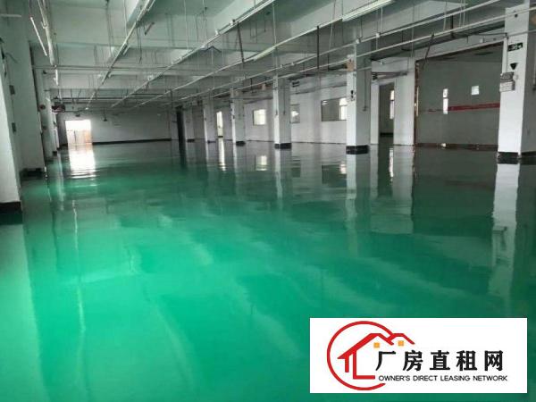 
		仲恺潼湖独院一楼标准厂房500平出租，形象好配电大！可办环评
	