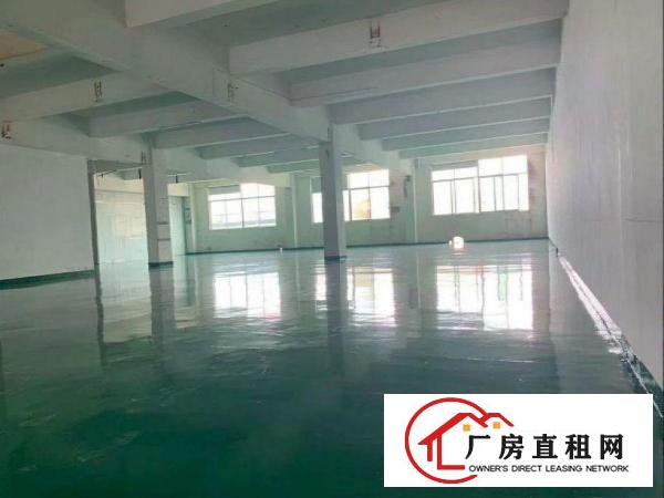 
		出租仲恺潼湖标准3楼全新地坪漆600平方，无公摊，适合小加工
	