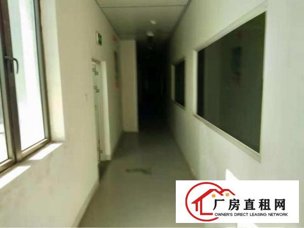 
		惠州仲恺潼桥高大上工业园无公摊二楼无尘车间拎包入住
	