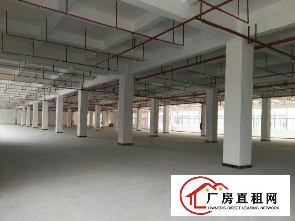 
		出租仲恺潼侨新出全新厂方1楼整层500平米
	
