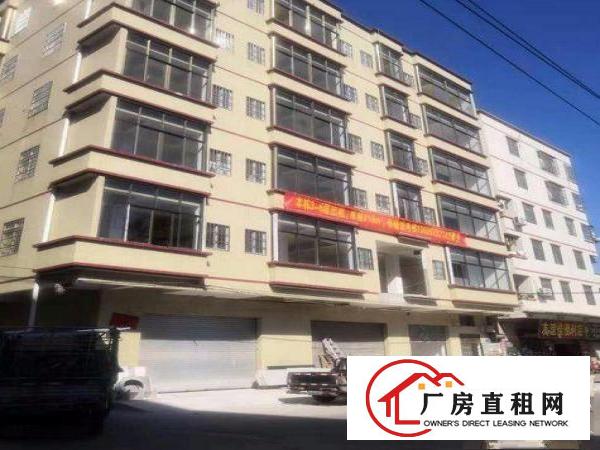 
		仲恺潼侨工业区五层1750平厂房仓库可分租
	