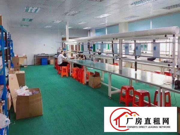 
		仲恺潼侨楼上新出1350平方带精装修厂房出租
	