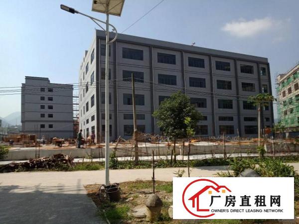 
		仲恺、沥林镇全新标准厂房7800平方招租！
	