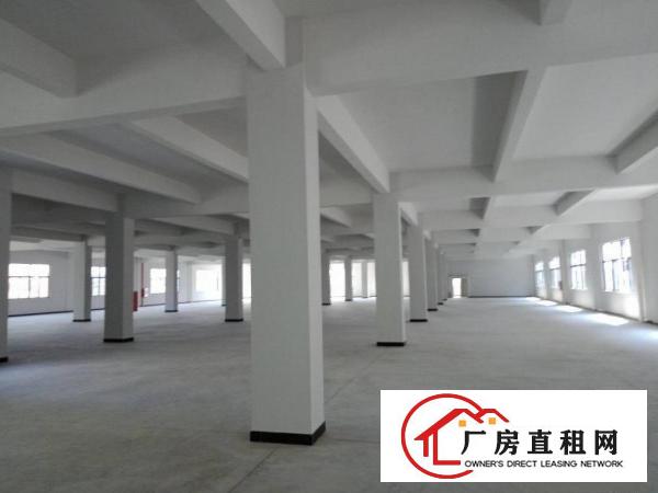 
		仲恺、沥林镇全新标准厂房7800平方招租！
	