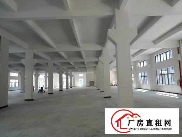 
		仲恺、沥林镇全新标准厂房7800平方招租！
	