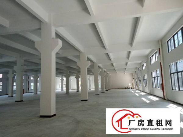 
		仲恺、沥林镇全新标准厂房7800平方招租！
	