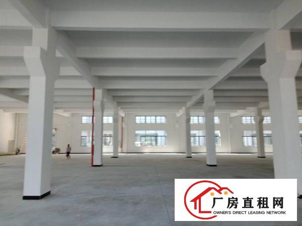 
		仲恺、沥林镇全新标准厂房7800平方招租！
	