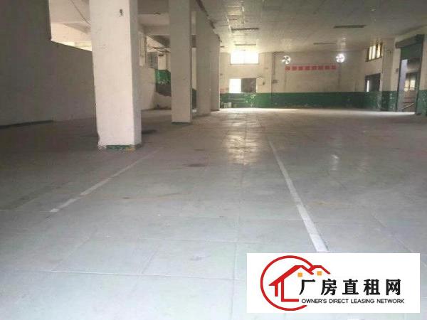 
		沥林原房东标准红本厂房2000平米出租（可分租）
	