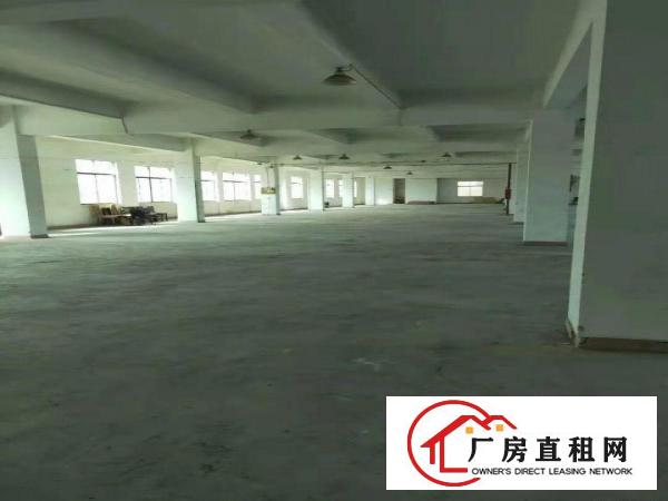 
		沥林独门独院四层厂房招租有国土有消防水电齐全
	