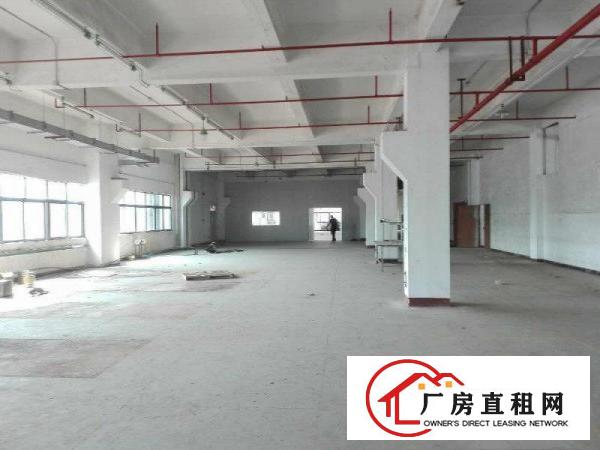 
		沥林标准独院厂房6200平米出租（可分租）
	