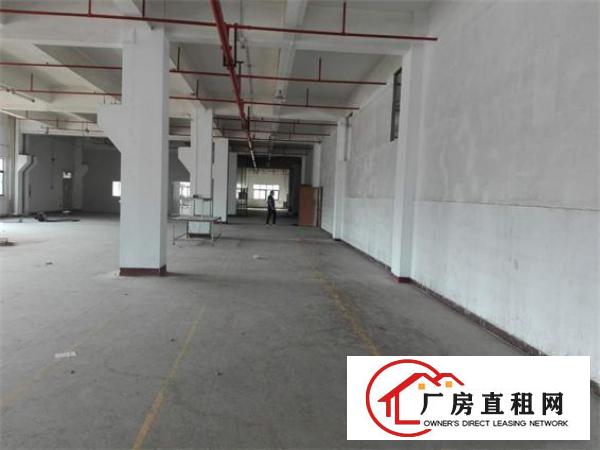 
		沥林原房东标准厂房2000平米出租（可分租）
	
