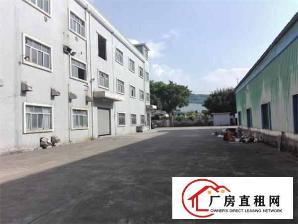 
		沥林原房东标准厂房2000平米出租（可分租）
	