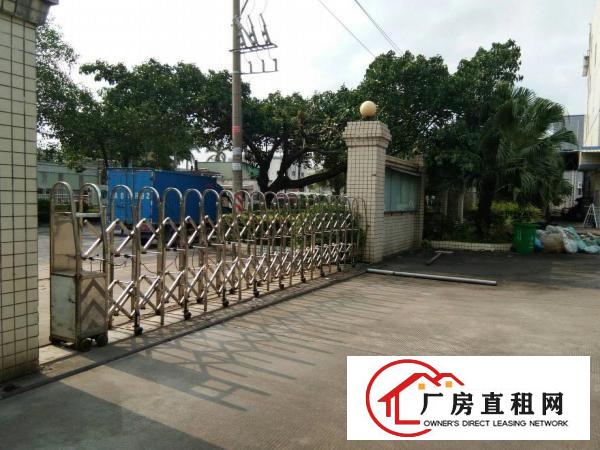 
		沥林泮沥村金达伟一楼标准厂房带装修700平招租
	