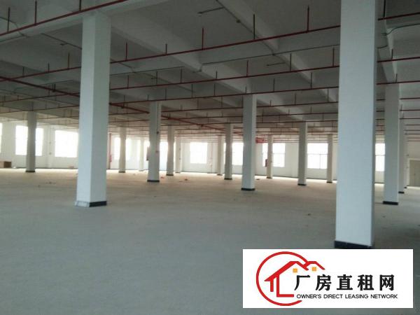 
		仲恺沥林泮沥全新独院新出2600平方标准厂房出租
	