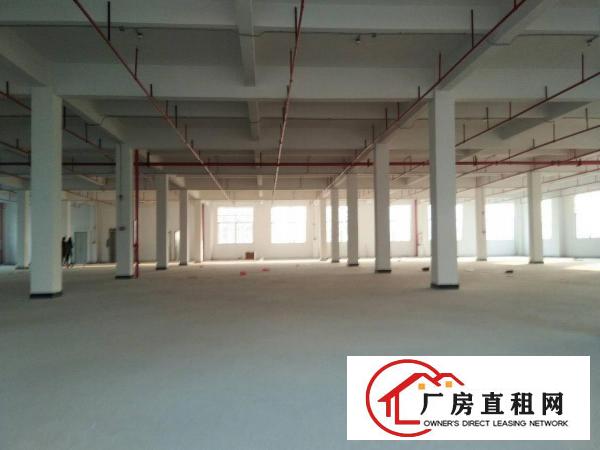 
		仲恺沥林泮沥全新独院新出2600平方标准厂房出租
	
