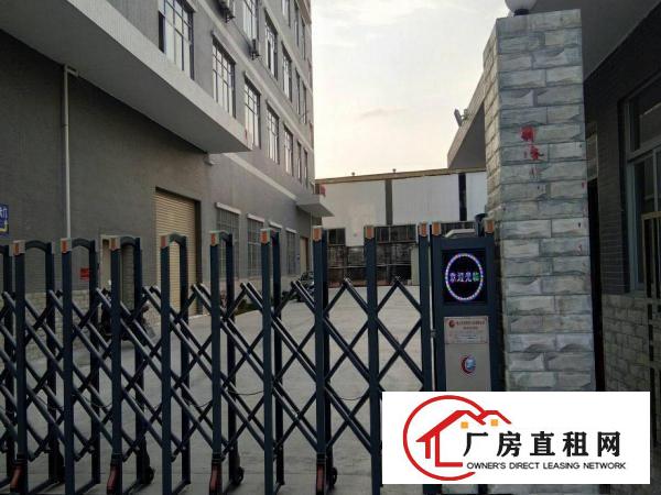 
		仲恺沥林泮沥全新独院新出2600平方标准厂房出租
	