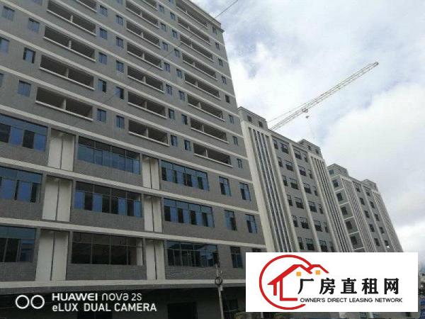 
		沥林标准红本厂房10万平米出租（红本证件可办环评可分租）
	