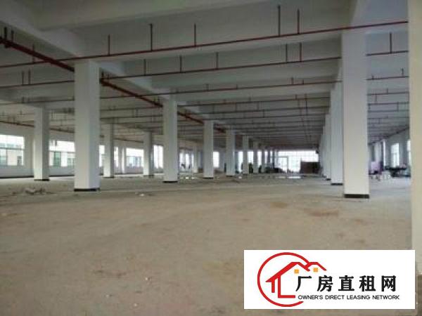 
		惠小金附近大型工业区标准一楼厂房2600平方出租
	