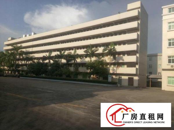 
		靓小金口独院厂房1万平米招租
	